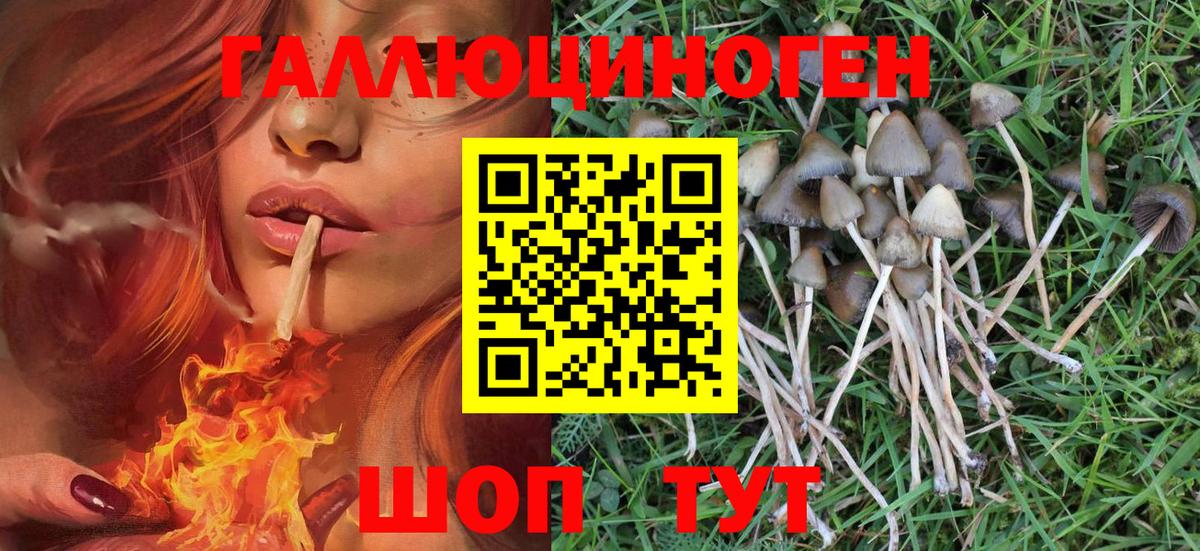 Галлюциногенные грибы Psilocybine cubensis  Вход с VPN  Куйбышев 