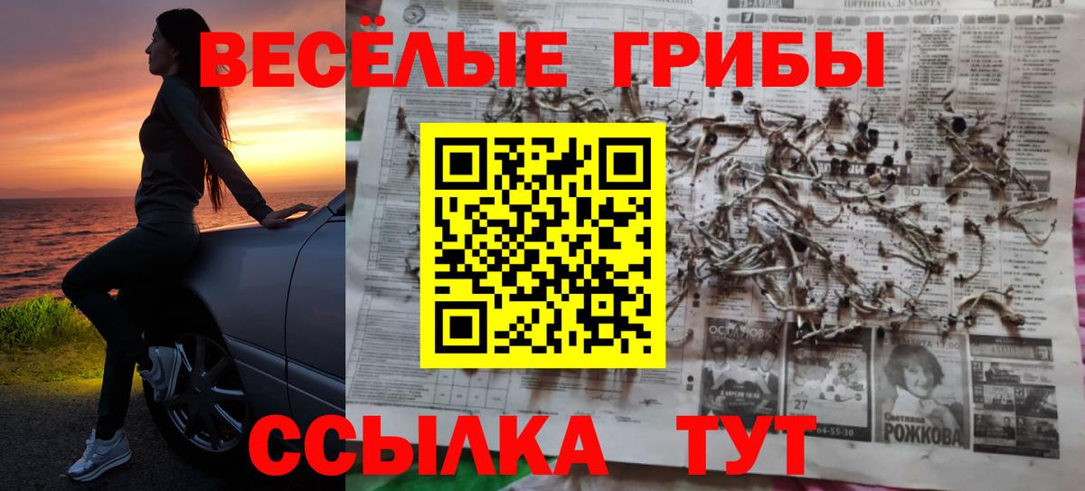 Галлюциногенные грибы Psilocybine cubensis Куйбышев